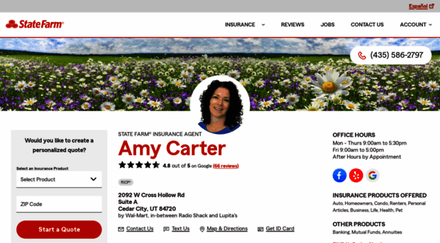 agentamy.com