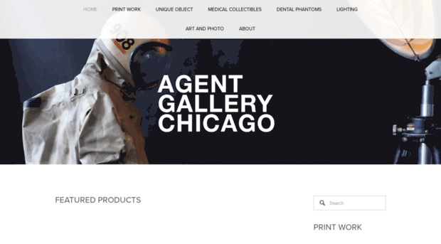 agentgallerychicago.com