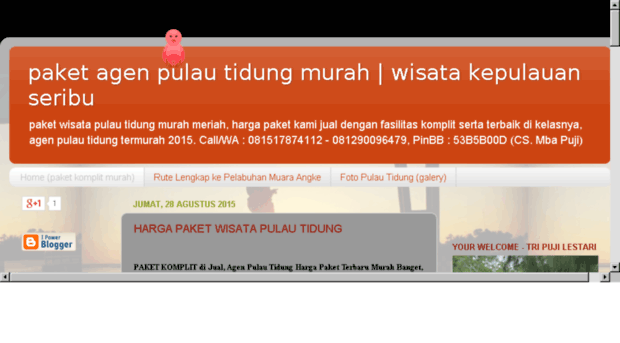 agentidungmurah.com