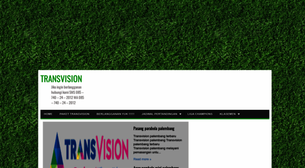 agentransvision.blogspot.com