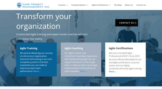 agileprojectmanagementtraining.com