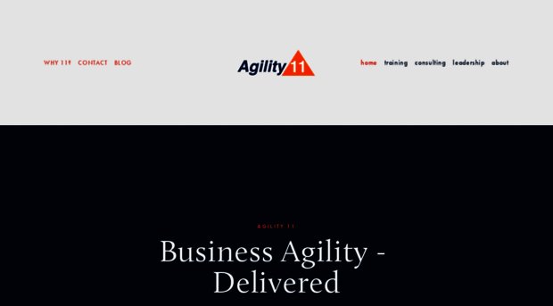 agility11.com