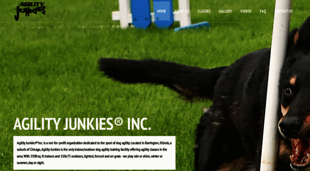 agilityjunkies.com