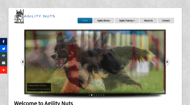 agilitynuts.co.uk