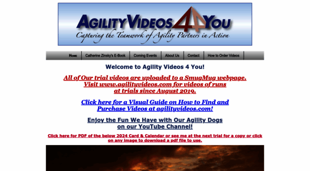 agilityvideos4you.com