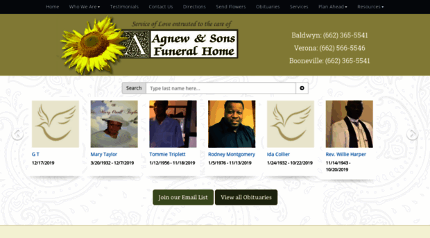 agnewandsons.com