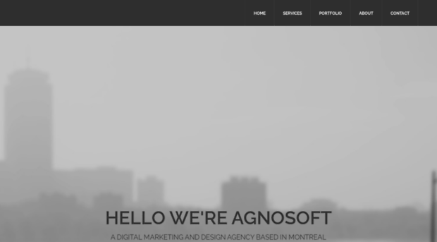 agnosoft.com