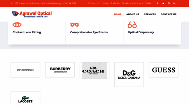 agrawaloptical.com