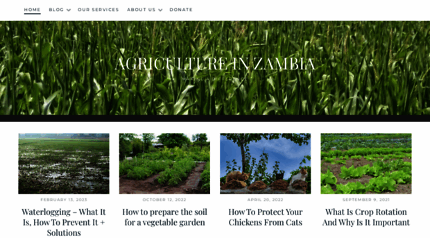 agricultureinzambia.com