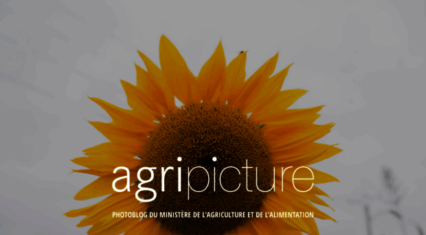 agripicture.fr