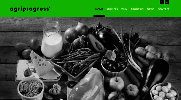 agriprogress.com