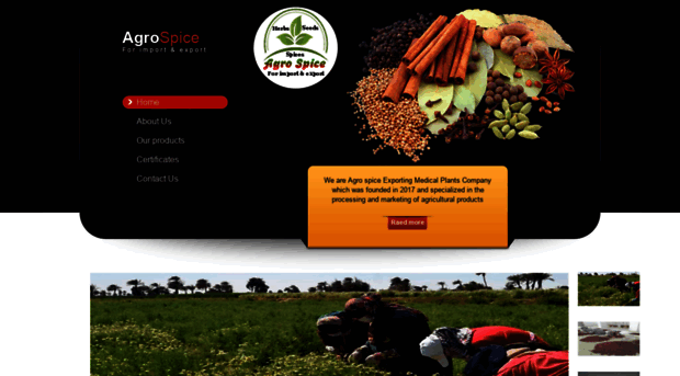 agro-spice.com