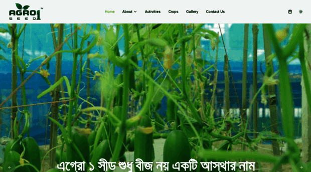 agro1seed.com