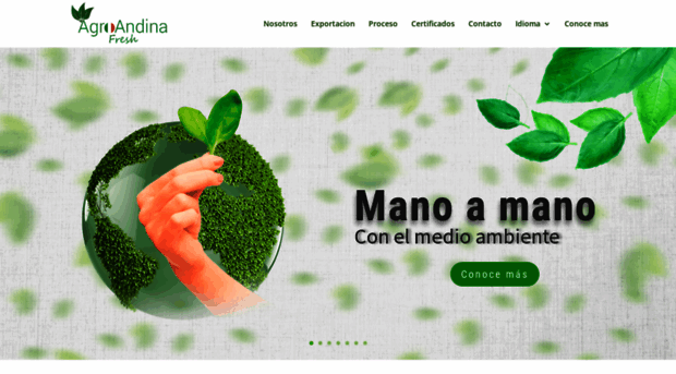 agroandinafresh.com