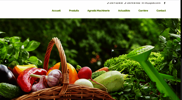 agrodis.com.tn