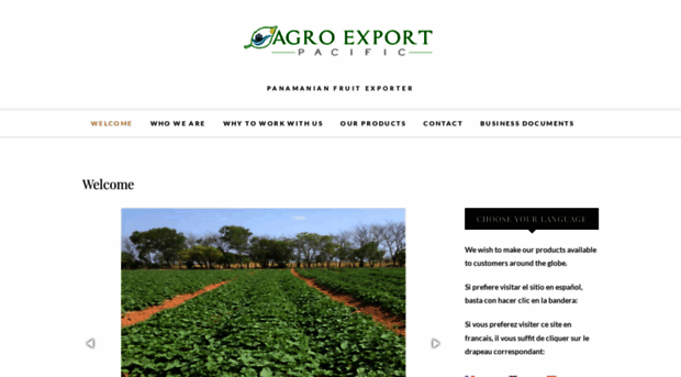 agroexportpacific.com