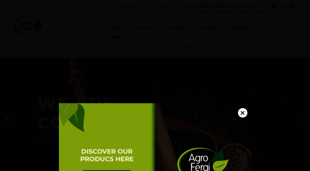 agrofergi.com.pe