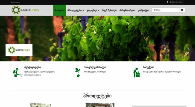 agrolinks.ge