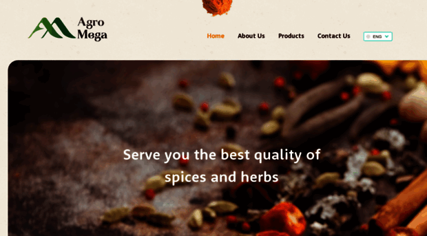agromegacv.com