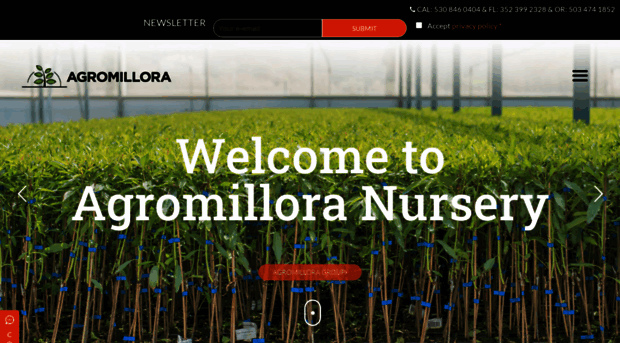 agromillora-med.com