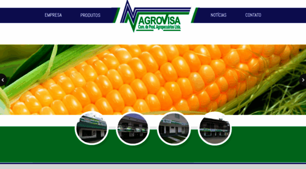 agrovisa.com.br