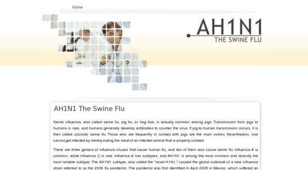 ah1n1-swineflu.com