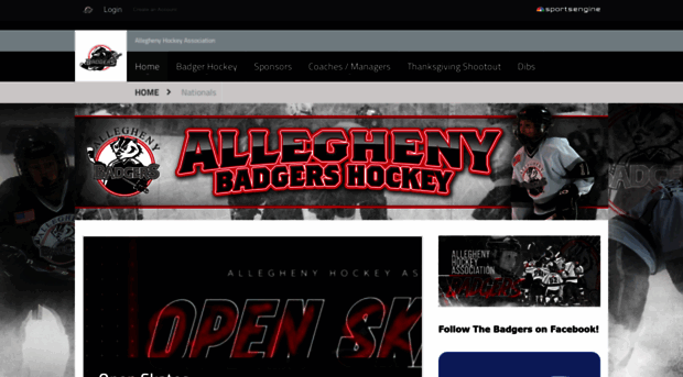 ahabadgers.com