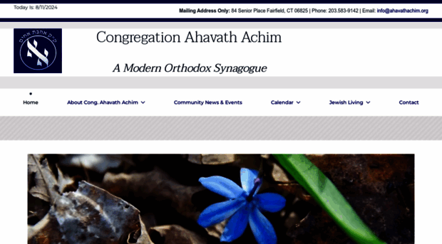 ahavathachim.org