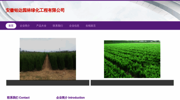 ahbdu.cn