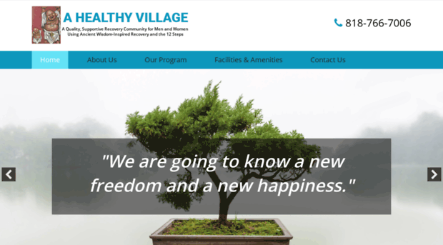 ahealthyvillage.com