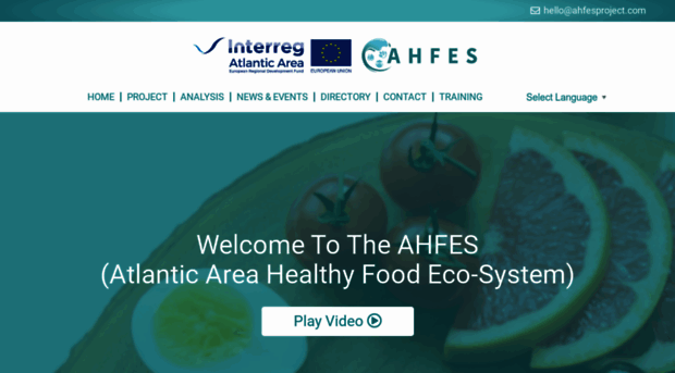 ahfesproject.com