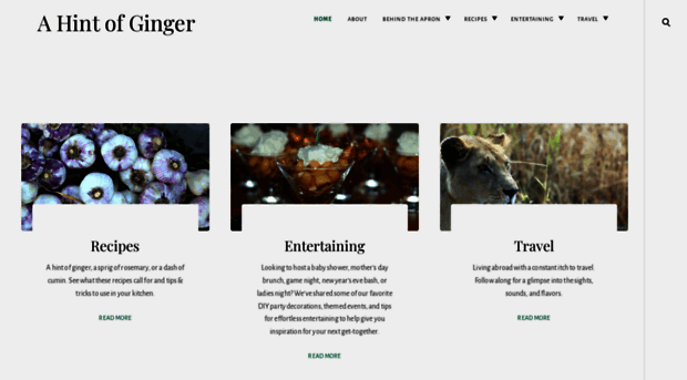 ahintofginger.com