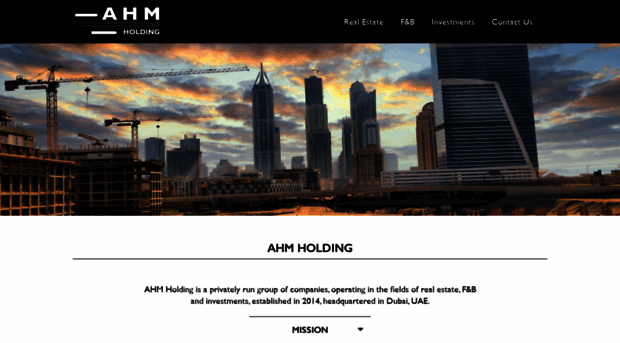 ahmholding.com