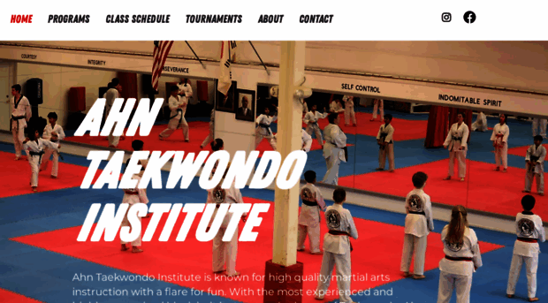 ahntaekwondo.com