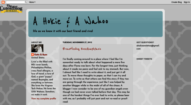 ahokieandawahoo.blogspot.com