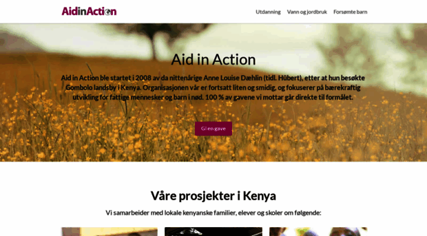 aidinaction.com