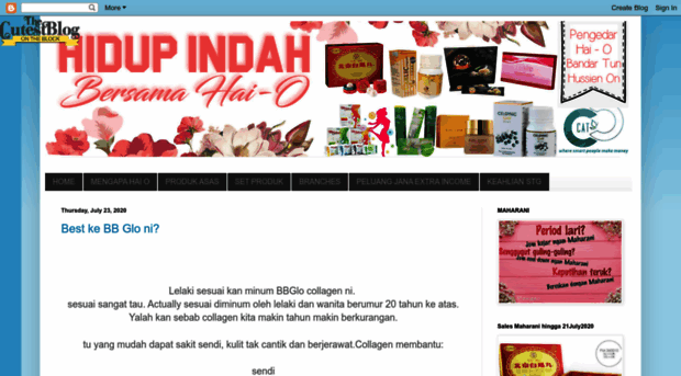 aien-hidupindah.blogspot.com