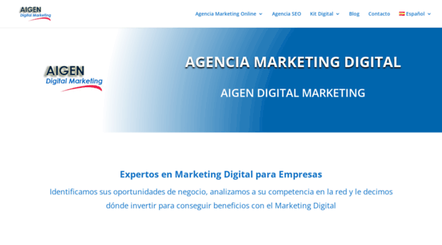 aigendigitalmarketing.com