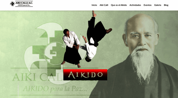 aikido.mx