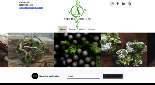 ailiicedesigns.com