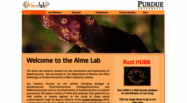 aime-lab.com