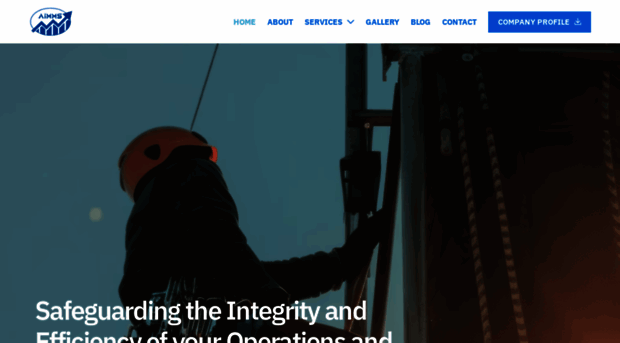 aimmsgroup.com