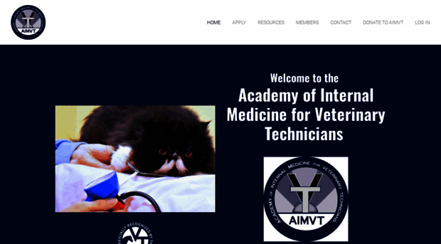 aimvt.com