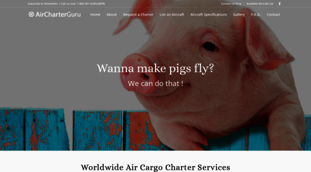 aircharterguru.com