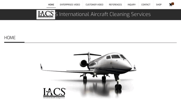 aircraft-cleaners.com