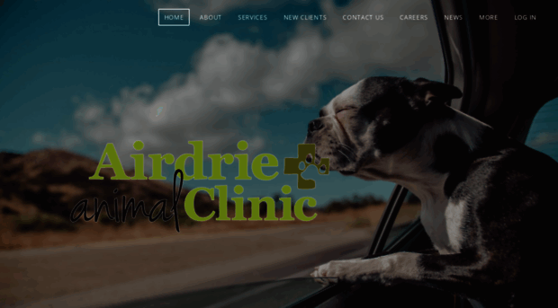 airdrieanimalclinic.ca