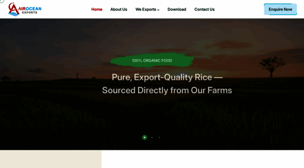 airoceanexports.com