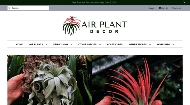 airplantdecor.com.au