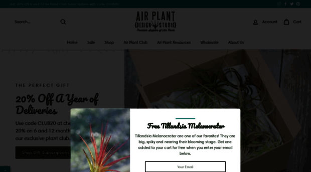 airplantdesignstudio.com