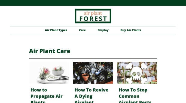 airplantforest.com